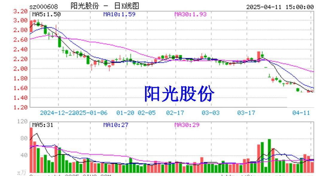 阳光股份营收低于3亿却未依规预告，股票索赔已启动