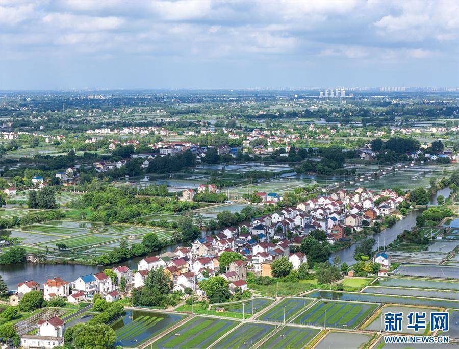 安徽当涂:夏日水乡新画卷