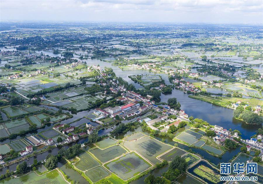 安徽当涂:夏日水乡新画卷