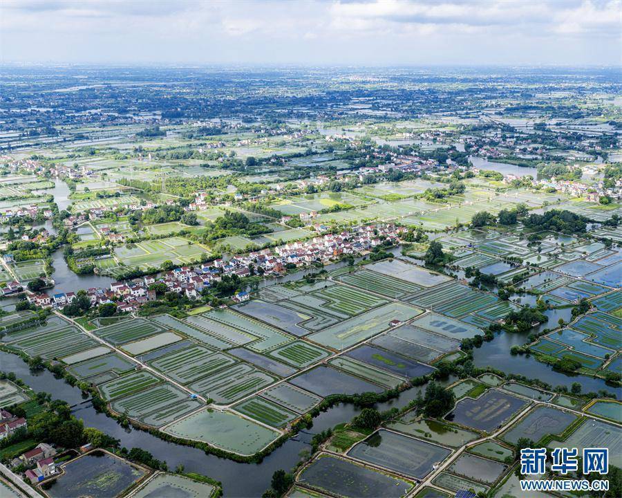 安徽当涂:夏日水乡新画卷