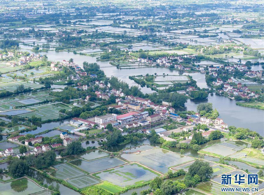 安徽当涂:夏日水乡新画卷