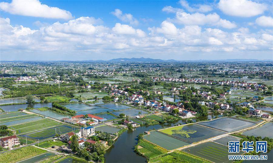 安徽当涂:夏日水乡新画卷