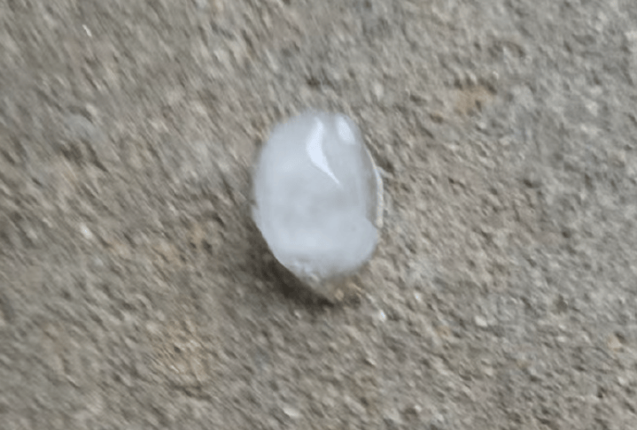 最新确认：今天清晨开始，影响青岛！将出现明显转折→