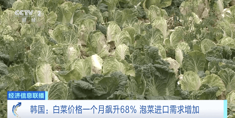 高温致韩国蔬果价格暴涨,一个西瓜卖到173元人民币
