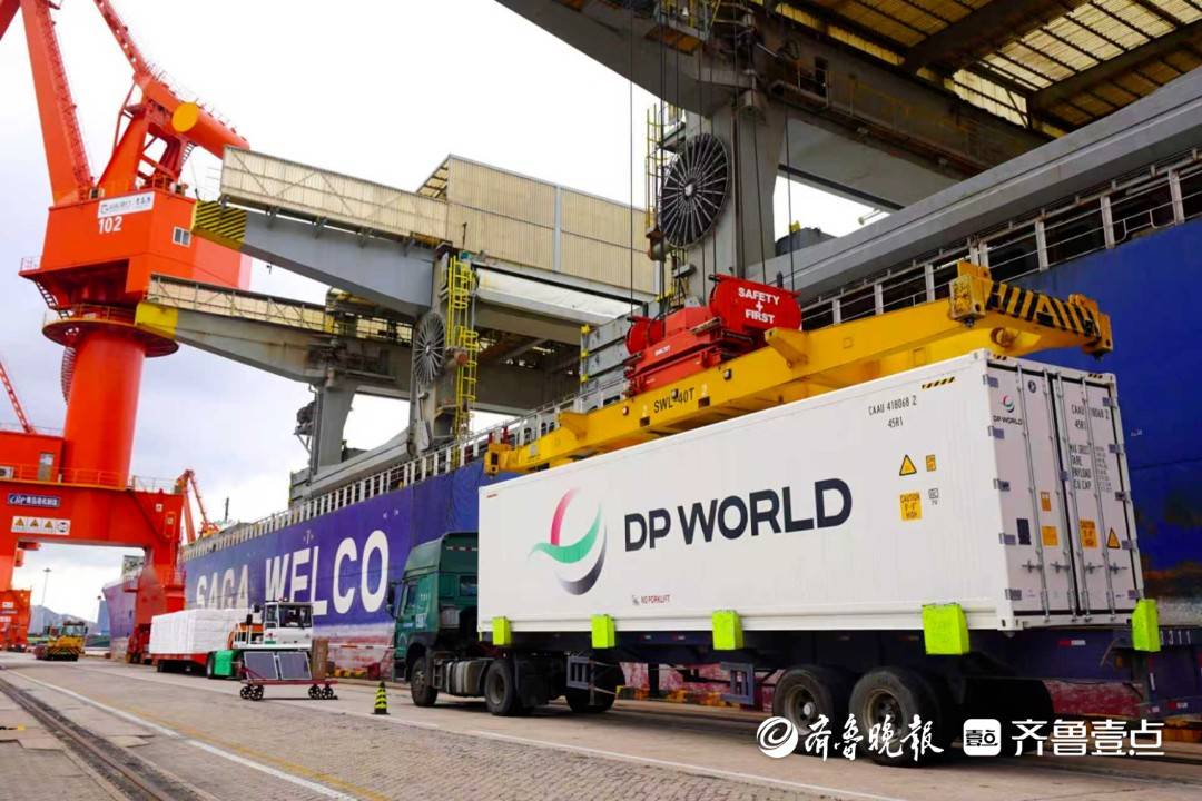 山东港口青岛港:织密“双向”物流大通道,赋能全球产业链发展
