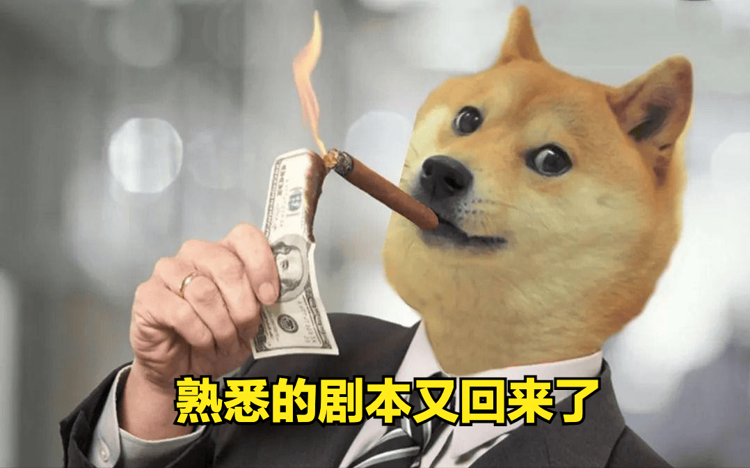 币圈又被马斯克 “带飞”！狗狗币单日暴涨 3.5%