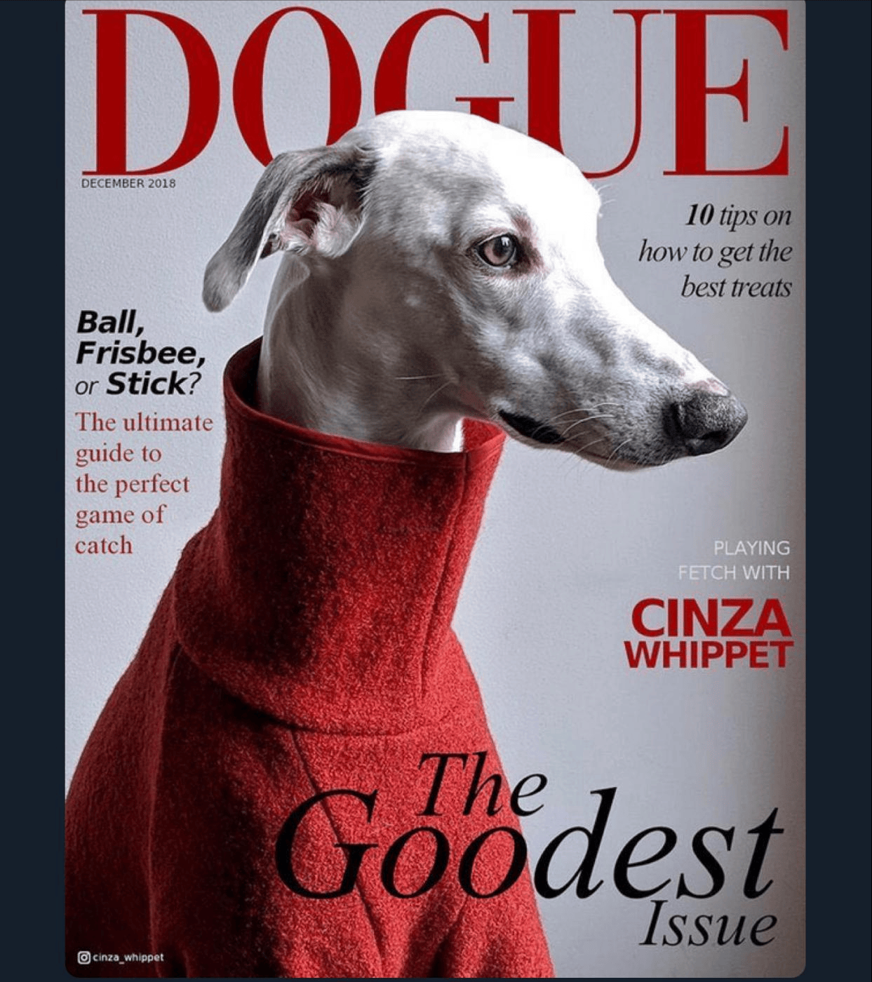 币圈又被马斯克 “带飞”!狗狗币单日暴涨 3.5%