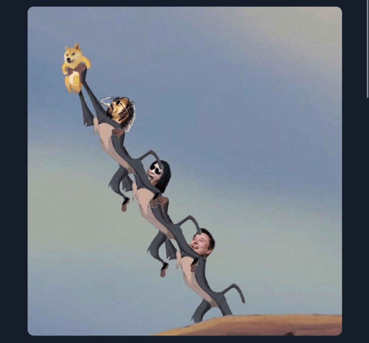 币圈又被马斯克 “带飞”!狗狗币单日暴涨 3.5%