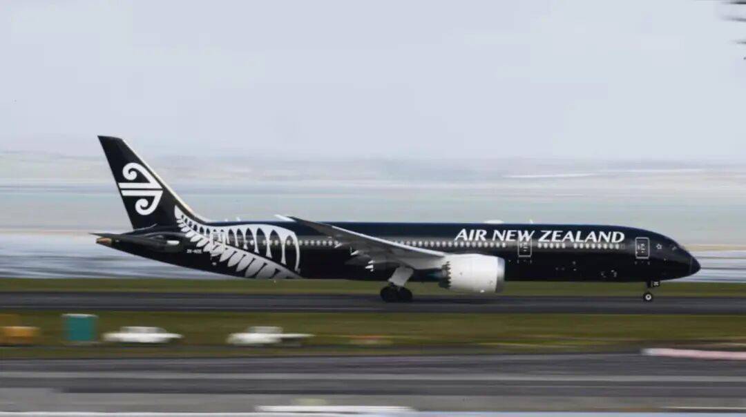 太惨了：纽航半年亏掉5900万纽币！网友：“自作自受”