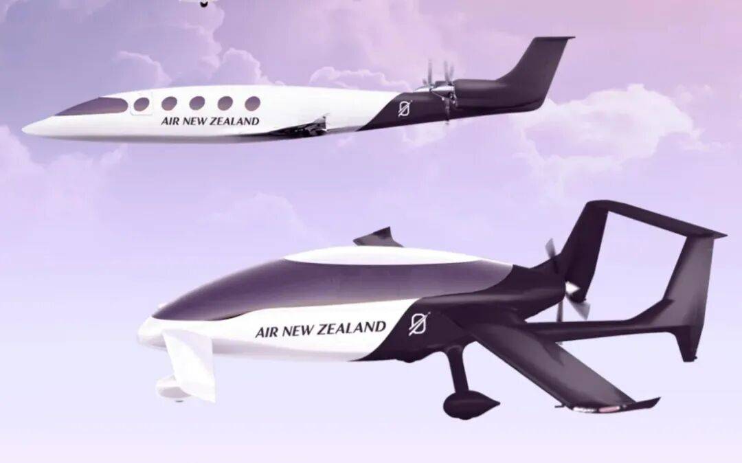 太惨了：纽航半年亏掉5900万纽币！网友：“自作自受”