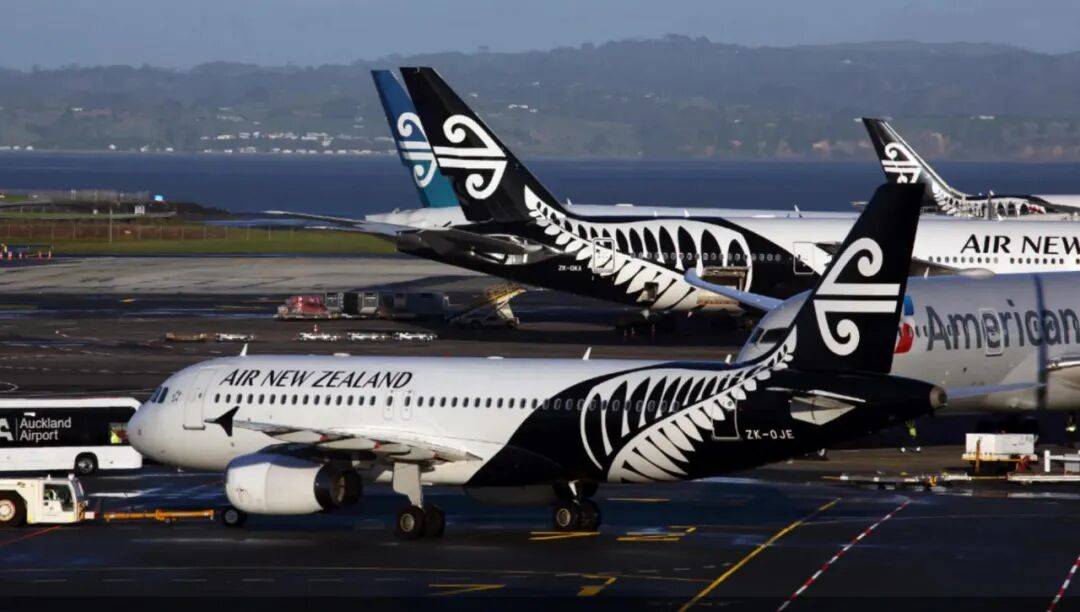 太惨了：纽航半年亏掉5900万纽币！网友：“自作自受”