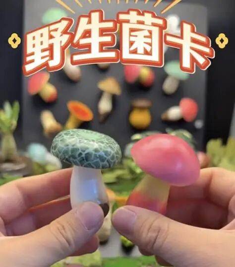 南京超大“地铁币”火了，你的城市有什么好玩的币？