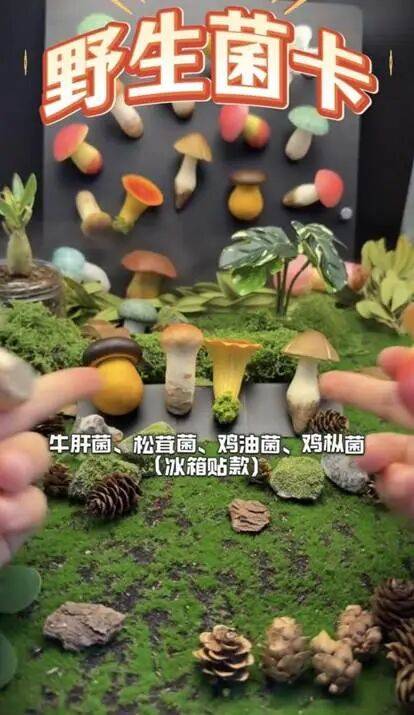 南京超大“地铁币”火了，你的城市有什么好玩的币？