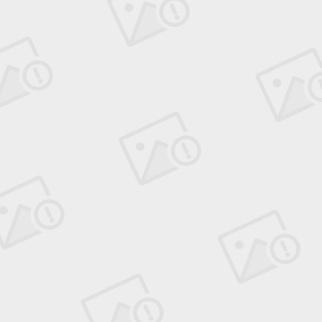 ADA-艾达币网站(艾达币ada交易即挖矿) ADA-艾达币网站(艾达币ada交易即挖矿)