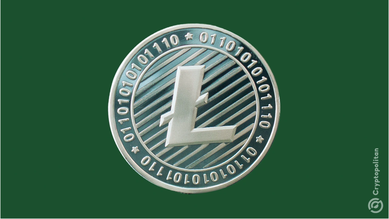 LTC-莱特币网站(莱特币litecoin)
